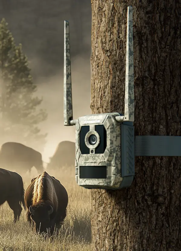 Reolink Talon Pro Camovue 4K 4G akkukamera Ulkona Camo - 3022731