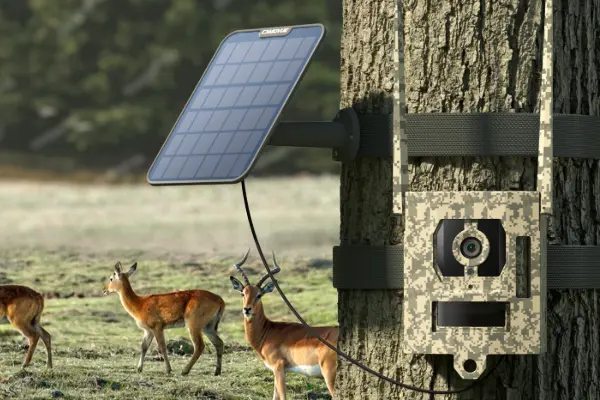 Reolink Talon Pro Camovue 4K 4G akkukamera Ulkona Camo - 3022731