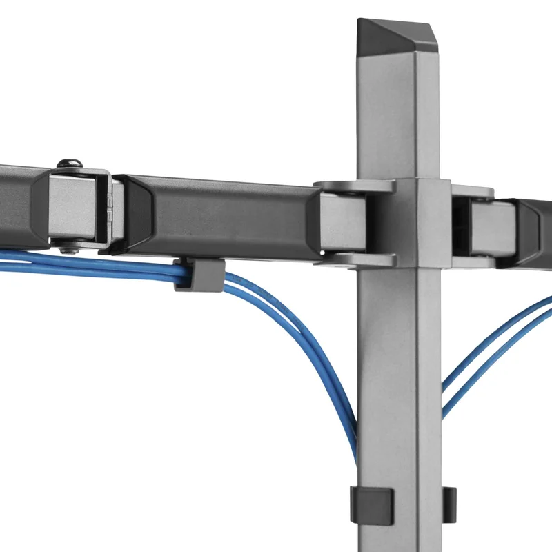 White Shark AMENHOTEP II Kaksoisnäytön Kiinnike VESA 100/32