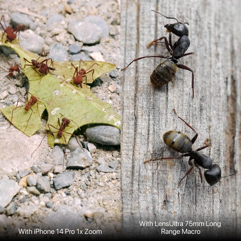 Shiftcam LensUltra 75mm Macro S-Mount yhteensopiva musta - 2966807