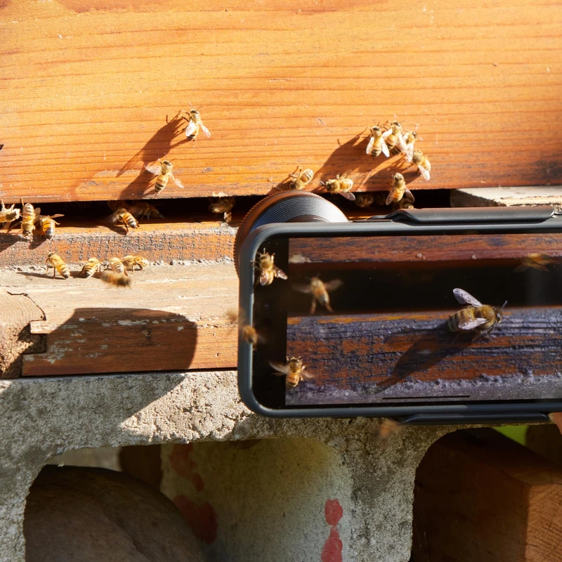 Shiftcam LensUltra 75mm Macro S-Mount yhteensopiva musta - 2966807